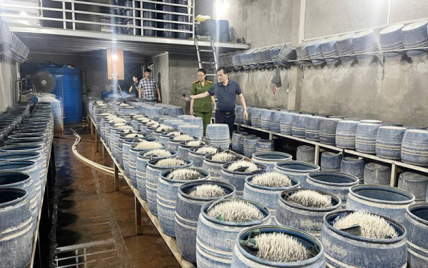 Rùng mình với những bệnh có thể mắc phải nếu ăn giá ngâm hóa chất, chuyên gia chỉ ra 3 cách đơn giản nhận biết giá “bẩn”