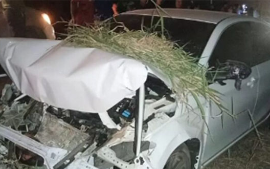 Nữ diễn viên bị xe tải tông trên đường về quê, hiện trường gây ám ảnh