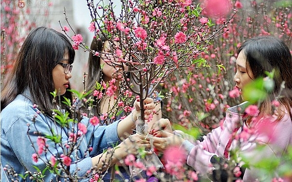 Tin mới nhất về thời tiết dịp Tết Nguyên đán 2026, miền Bắc có rét đậm, rét hại?