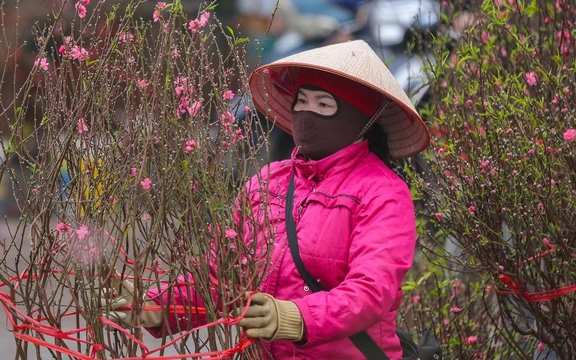 Dự báo thời tiết Tết Nguyên đán 2026 mới nhất