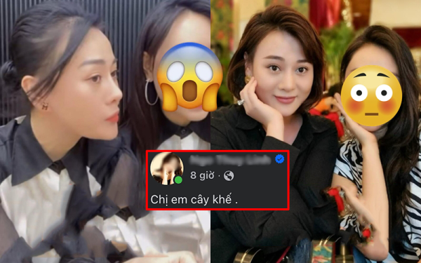 "Bạn thân" Phương Oanh gây tranh cãi khi đăng 4 từ "chị em cây khế": Rốt cuộc cụm này có ý nghĩa gì?