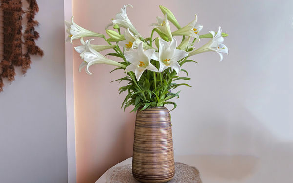 Những loại hoa kiêng kỵ, TUYỆT ĐỐI KHÔNG đặt lên bàn thờ ngày Tết: Đẹp nhưng dễ rước xui đầu năm