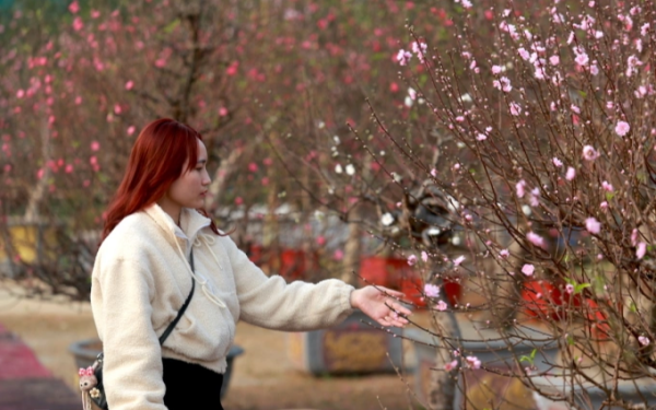 Miền Trung mưa rải rác, Bắc và Nam Bộ nắng ráo dịp Tết Nguyên đán