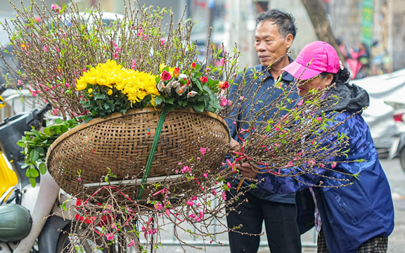 Dự báo mới nhất về thời tiết trên cả nước trong 9 ngày nghỉ Tết Nguyên đán