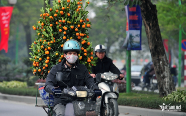 Dự báo thời tiết 11/2: Miền Bắc đón không khí lạnh tăng cường, trời mưa trở lại