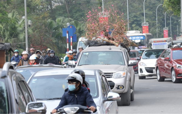 Về quê ăn Tết, chở đào, quất trên nóc ô tô con có bị phạt không?