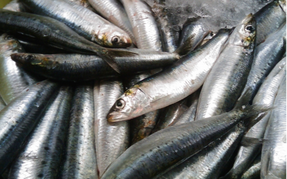 Đột quỵ rất "sợ" loại cá này, người Việt đang ăn rất nhiều mà chưa hề nhận ra