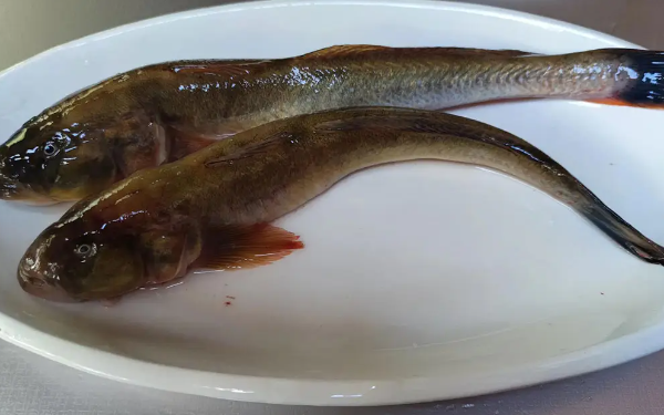 Khi mua cá cho Tết, hãy tránh 3 loại cá này với bất kể giá nào, vì chúng được coi là không may mắn và không tốt cho sức khỏe