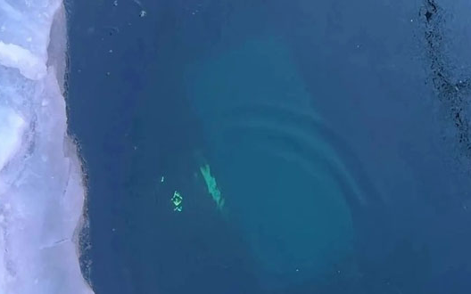 Khoảnh khắc xe du lịch chìm xuống hồ sâu nhất thế giới, 8 người thiệt mạng