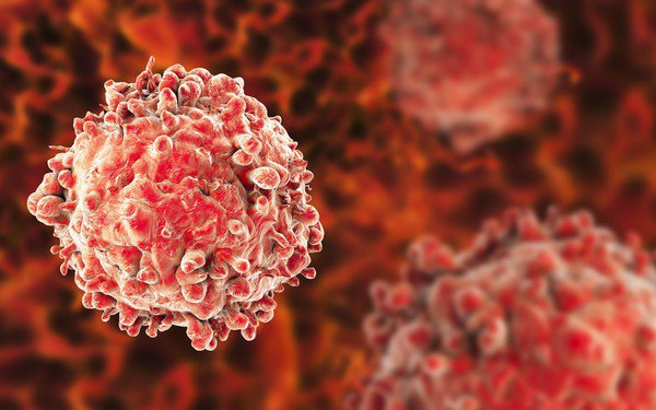 Loại rau quen thuộc ăn sai cách có thể 