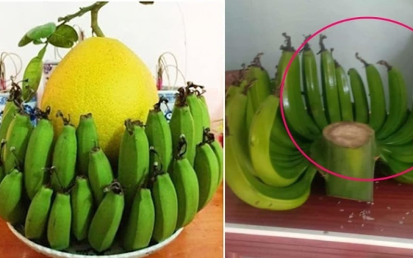 Cảnh báo đặc biệt tới các gia đình đang bày chuối ngày Tết