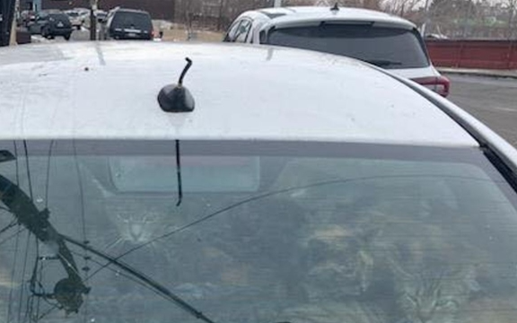 Chiếc ô tô đậu ven đường suốt nhiều ngày bốc mùi hôi nồng nặc, cảnh tượng bên trong gây bàng hoàng