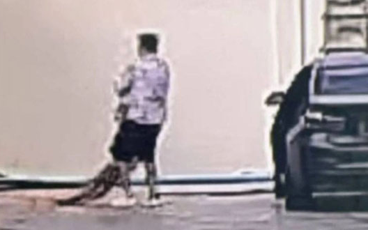 Gửi tin nhắn cầu cứu rồi mất tích, vài ngày sau nữ tiếp viên được tìm thấy trong trạng thái không tưởng