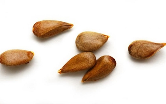 Loại quả ngon mắt nhưng chứa "chất kịch độc", mâm cơm nhà nào cũng có mà không hay