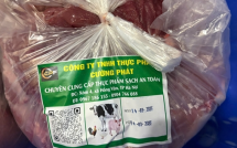 Vụ 300 tấn lợn bệnh tiêu thụ tại trường học, chợ đầu mối tại Hà Nội: Trường nào từng dùng thịt của Công ty Cường Phát?