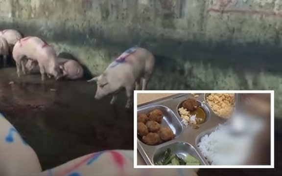 Nguy cơ kép từ 300 tấn thịt lợn bệnh - trẻ em chịu ảnh hưởng nặng nề nhất!