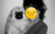 Khán giả bàng hoàng khi mỹ nhân "Ỷ Thiên Đồ Long Ký" đột ngột qua đời