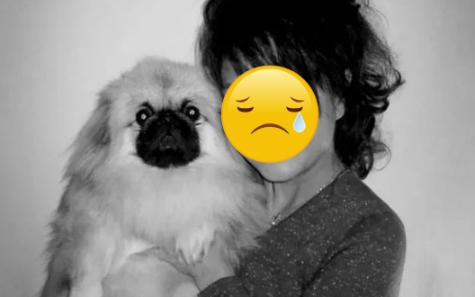 Khán giả bàng hoàng khi mỹ nhân "Ỷ Thiên Đồ Long Ký" đột ngột qua đời