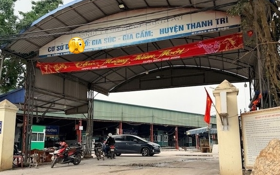 Vụ gần 300 tấn lợn bệnh vào bếp ăn trường học và chợ dân sinh: Cán bộ kiểm dịch đã "vòi tiền" như thế nào?