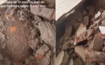 Đập sàn nhà để sửa chữa, gia đình bất ngờ phát hiện thứ vẫn “sống” dưới đó suốt 10 năm