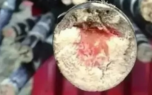 Loại thức ăn này độc hơn cả rắn vào dịp Tết Thanh Minh!