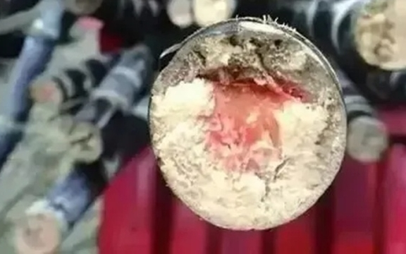 Loại thức ăn này độc hơn cả rắn vào dịp Tết Thanh Minh!