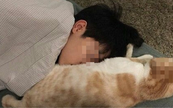 Cậu bé 14 tuổi "gần như mù lòa" sau 1 năm ngủ chung với chó mèo, bác sĩ: "Bệnh này không chữa được"