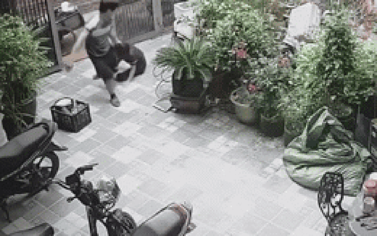 Chồng đánh vợ dã man từ ngoài sân vào trong nhà: Đã rõ nguyên nhân