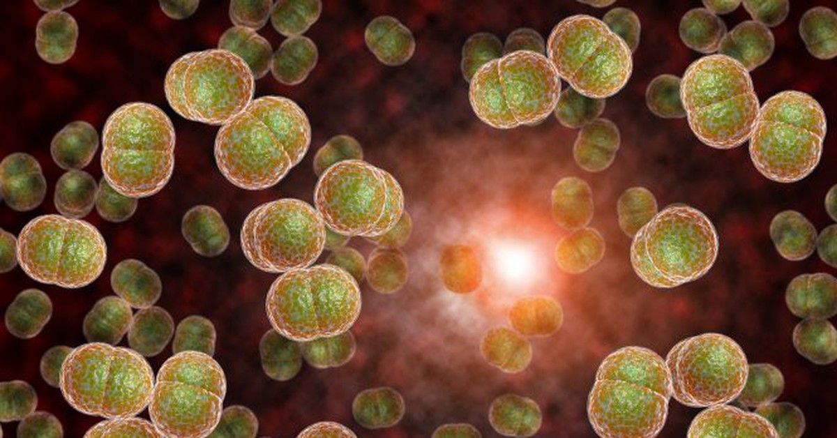 Vi khuẩn “ẩn mình” trong họng, có thể gây tử vong trong vòng 24 giờ