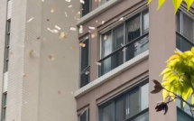 Người phụ nữ ném tiền mặt xuống đường, người dân tranh nhau nhặt