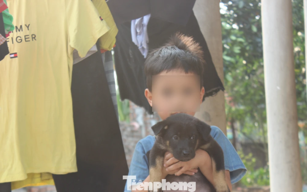 Chuyện lạ ở Phú Thọ: Hai đứa trẻ 7 và 11 tuổi không giấy khai sinh, không được đến trường