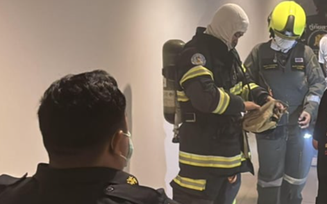 Chồng khóa vợ con trong phòng rồi phóng hỏa giữa đêm: Số phận của hai mẹ con ra sao?