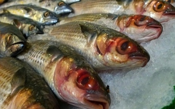 3 loại cá "bẩn nhất chợ", ít dinh dưỡng, tiềm ẩn độc tố nhưng nhiều người Việt lại cực mê