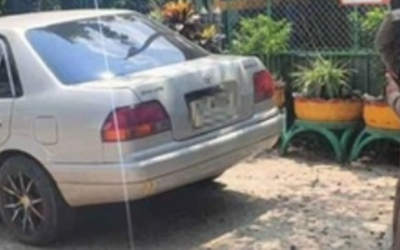 Mẹ ngủ quên, con gái 4 tuổi mắc kẹt trong xe ô tô và tử vong: Hiện trường xót xa