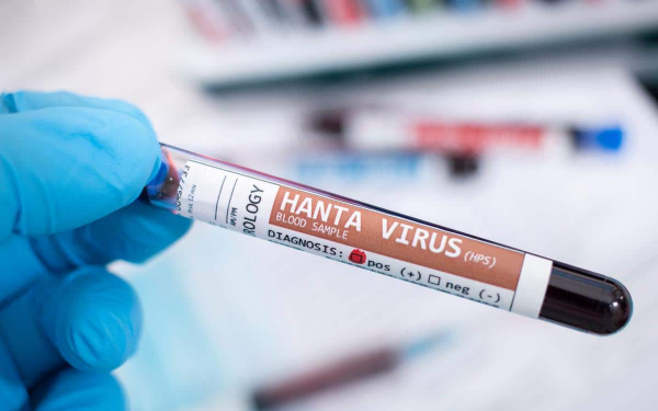 Bộ Y tế cảnh báo khẩn về vi rút Hanta sau ổ dịch chết người trên tàu du lịch
