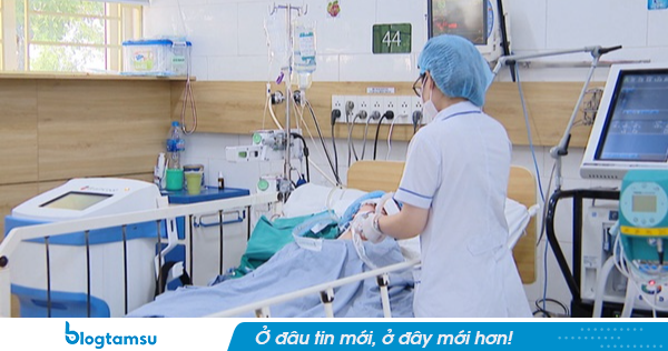 Một người tử vong, 5 người cấp cứu sau bữa canh nấm rừng