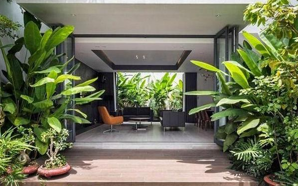 5 loại cây không nên trồng trước cửa nhà: Cây càng xanh tốt nhà càng suy