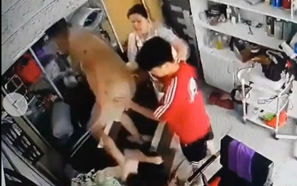 Danh tính người đàn ông đ:ánhngười phụ nữ ôm trẻ nhỏ ở Hà Nội, bất ngờ mối quan hệ và lý do ra tay