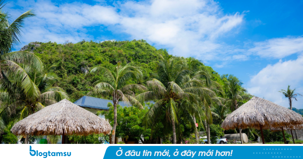 Thân thế đặc biệt của Đoàn Thị Thúy An – người tổ chức tiệc ma túy cho Miu Lê và nhóm bạn ở Cát Bà