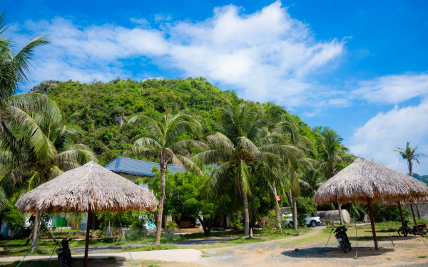 Thân thế đặc biệt của Đoàn Thị Thúy An – người tổ chức tiệc ma túy cho Miu Lê và nhóm bạn ở Cát Bà