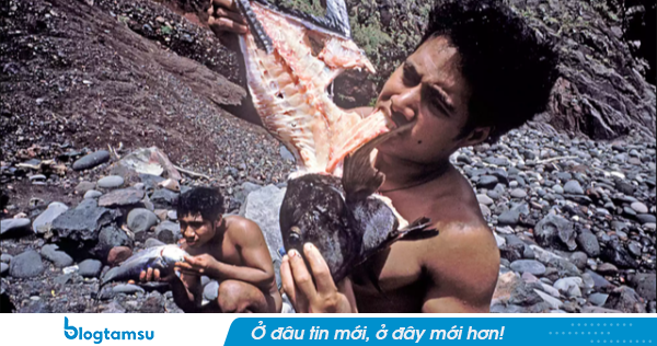 6 nam sinh sống 15 tháng trên đảo hoang không bóng người: Hơn 50 năm sau, số phận mỗi người ra sao?