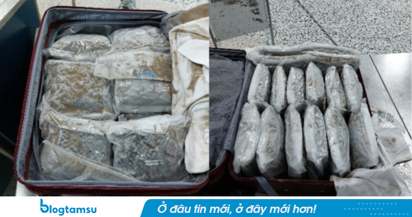 Nữ KOL nổi tiếng bị bắt vì buôn chất cấm, phát hiện 17 kg tang vật trong vali