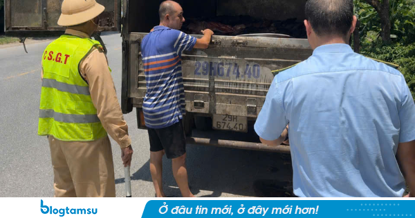 Mở thùng xe tải bịt kín khả nghi giữa Quốc lộ 2, lực lượng chức năng phát hiện cảnh tượng ám ảnh bên trong