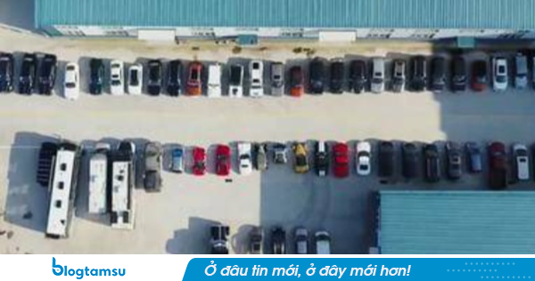 Tuyên án tử hình, tịch thu 100 siêu xe, 3.878 tỷ tiền mặt cùng toàn bộ tài sản cá nhân của nguyên Phó Giám đốc Sở Điện lực TQ
