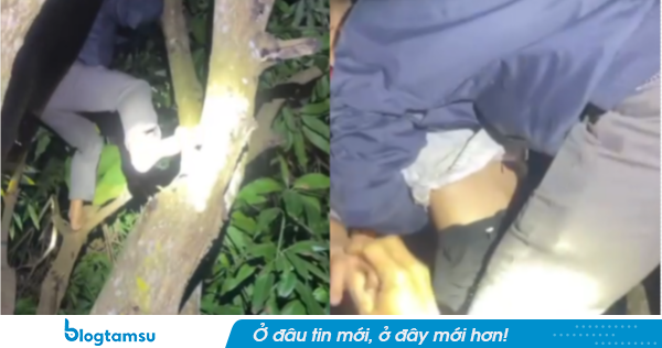 Bé trai ngủ quên trên cây, hơn 100 người suốt đêm tìm kiếm