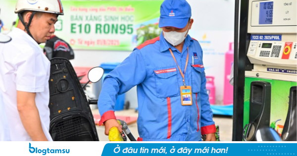 Xăng E10: Tương thích với nhiều hãng xe lớn, người dùng không nên quá lo ngại