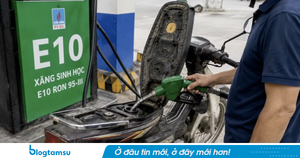 3 cách nhanh nhất để xác định xe có thể sử dụng xăng E10 hay không