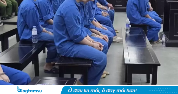 Giả 'Huấn Hoa Hồng' lừa hơn 8 tỷ đồng, hai anh em lĩnh án gần 20 năm tù