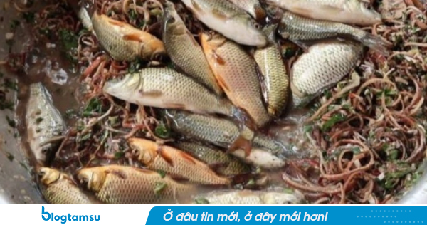 4 loại cá đáng lẽ phải BỊ CẤM từ lâu: Nhiều người vẫn vô tư ăn mỗi ngày!