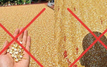 Cái kết đắng cho người đăng tin “nắng nóng khiến thóc nổ thành bỏng”